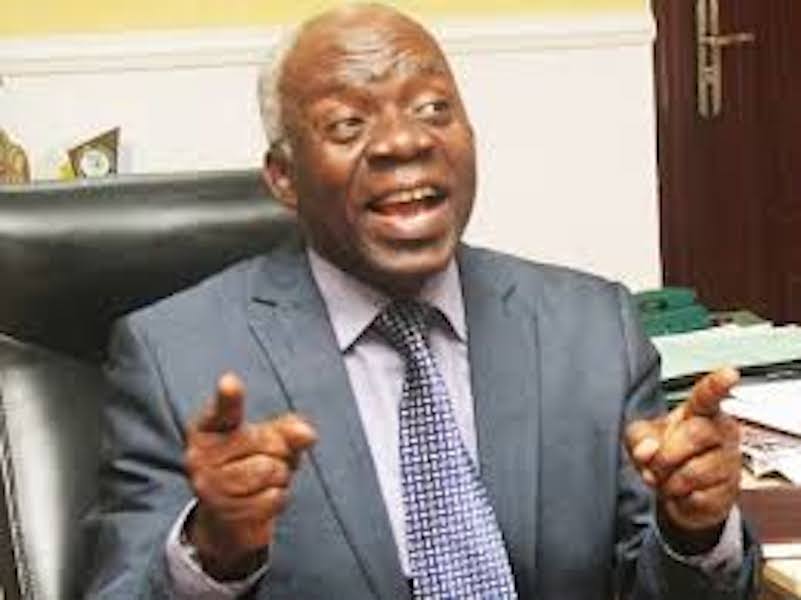 Femi Falana Biography; Net Worth, Age, Son, Height, Pregnancy, Movies ...