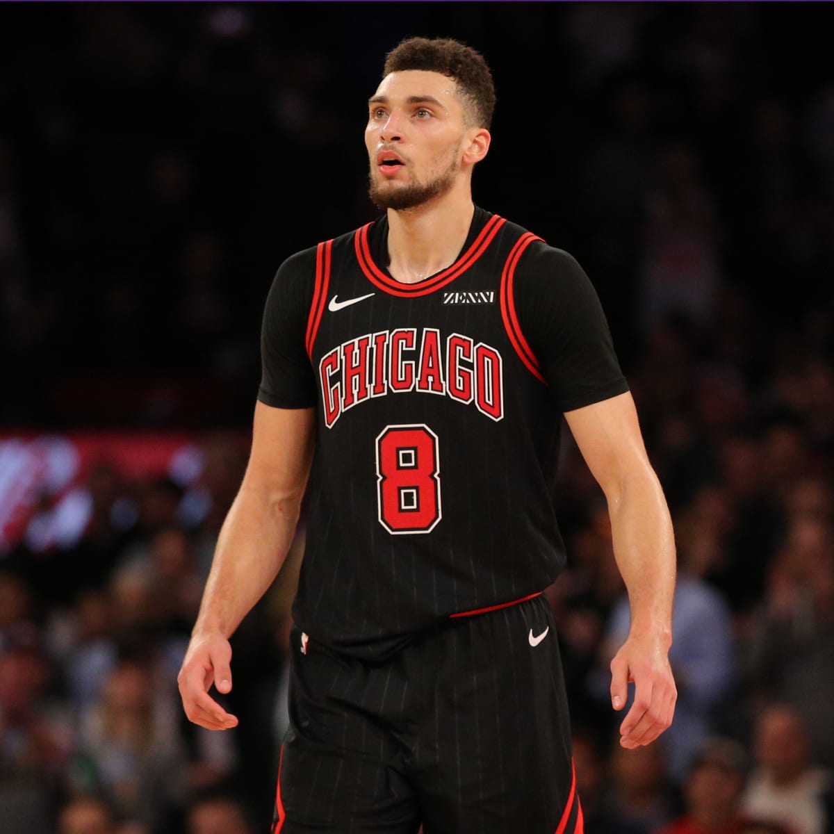 Zach LaVine Biography Net Worth, Salary, Stats, Parents, Height In Feet, Contract, College