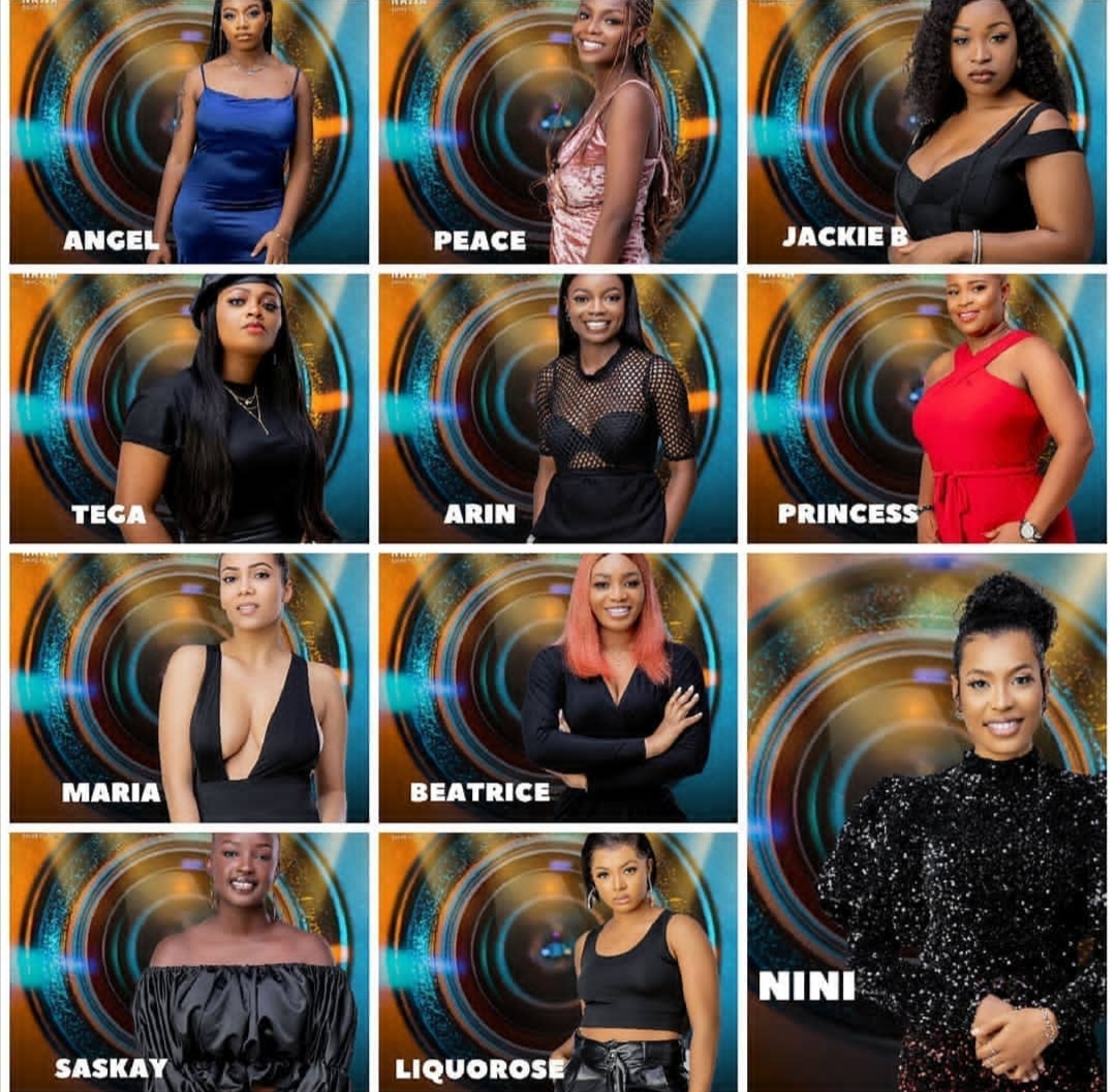 BBNaija 2021: Instagram Handles Of All The Females Housemates - ABTC