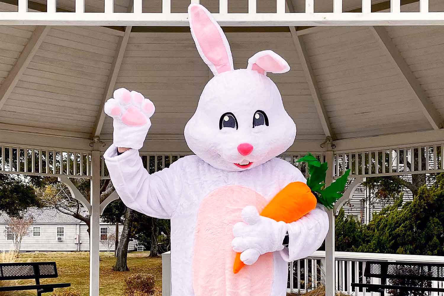 Is The Easter Bunny Real? ABTC