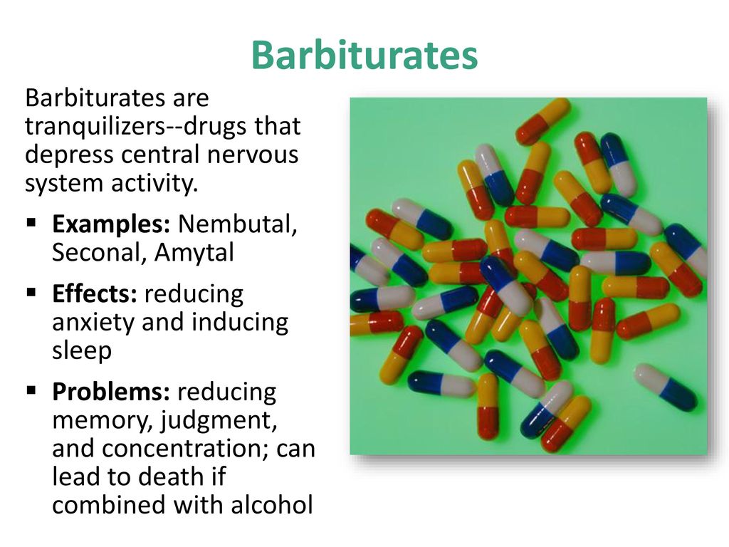 Barbiturate What Is An Example Of A Barbiturate What Is The   BarbituratesBarbituratesaretranquilizers Drugsthatdepresscentralnervoussystemactivity. 