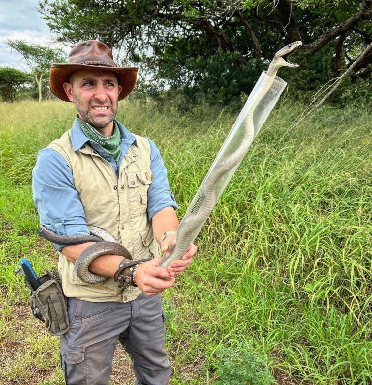 Does Coyote Peterson have a TV show? Why was Coyote Peterson Cancelled