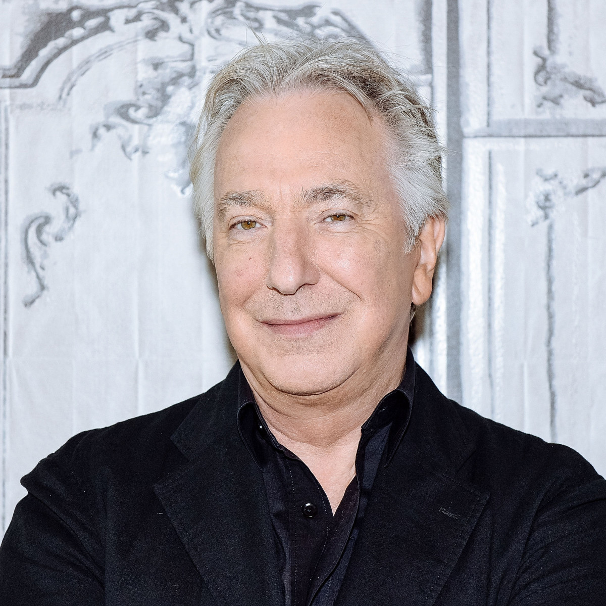 Was Alan Rickman In All Harry Potter Movies? - ABTC