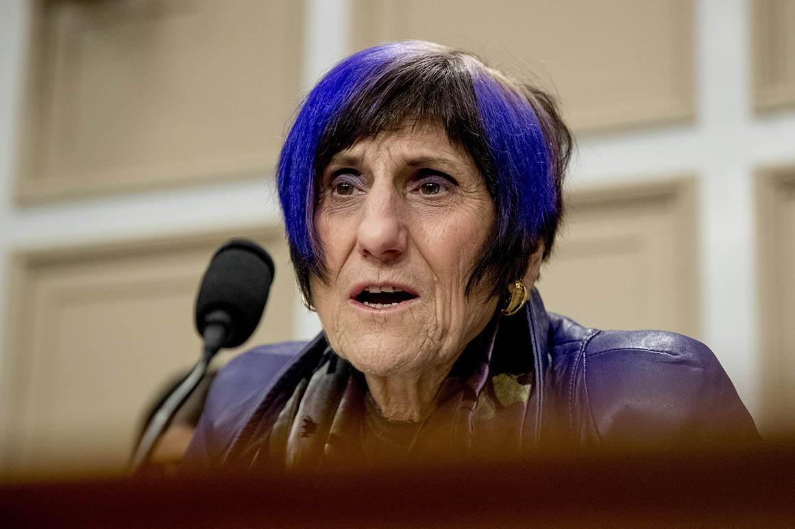 Who Is The Purple Haired Woman In Congress Who Is The Lady With Purple Hair In Congress Abtc