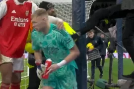 Tottenham Hotspur fan kicking Aaron Ramsdale