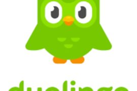 How long are Duolingo courses? What is the longest Duolingo course? - ABTC