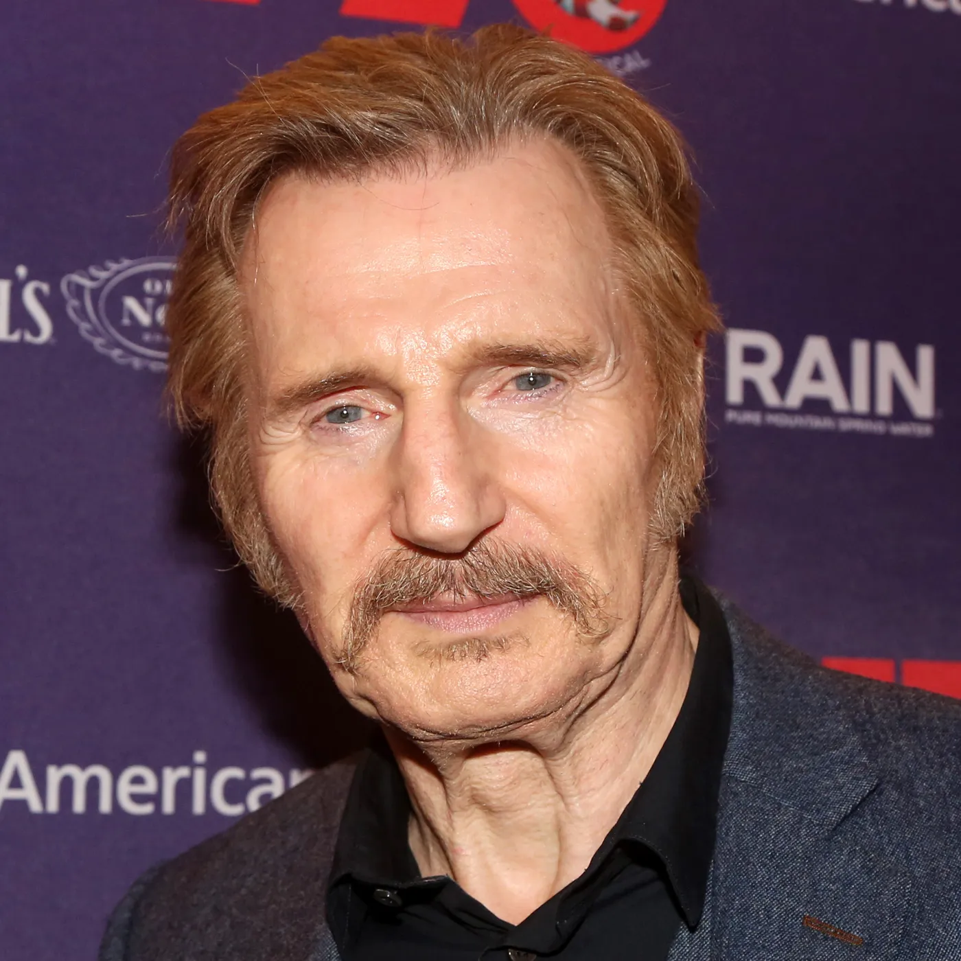 What Famous Actor Looks Like Liam Neeson Which English Actor Looks   Liam Neeson4.webp