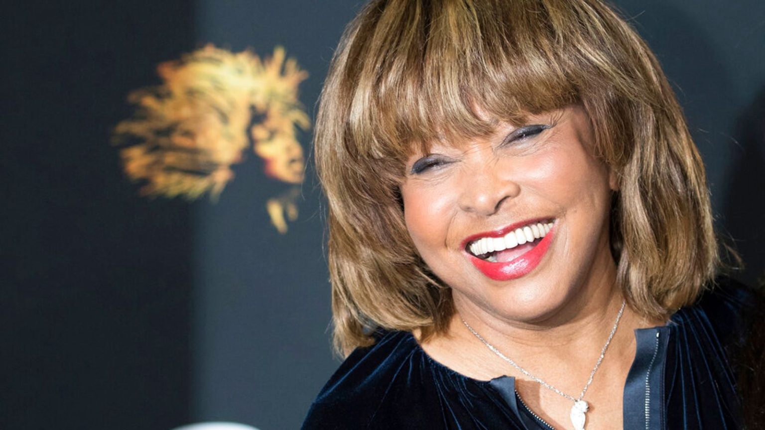 Tina Turner Death: How Did Tina Turner Die? - ABTC