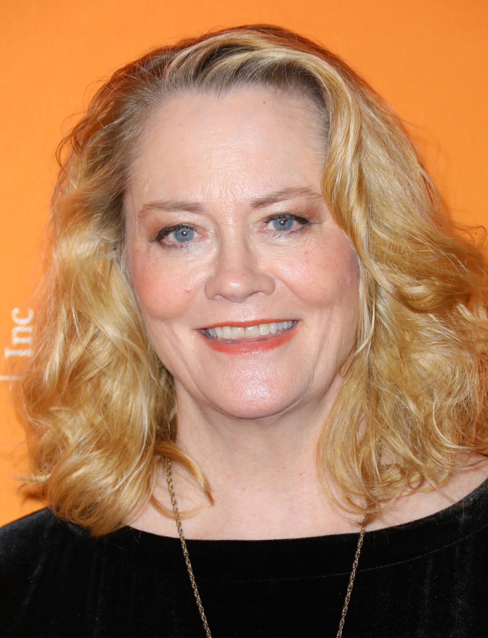 What is Cybill Shepherd best known for? Does Cybill Shepherd have a ...