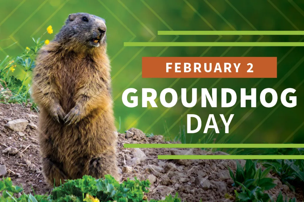 Is Groundhog Day religious? Why is Groundhog Day good? - ABTC