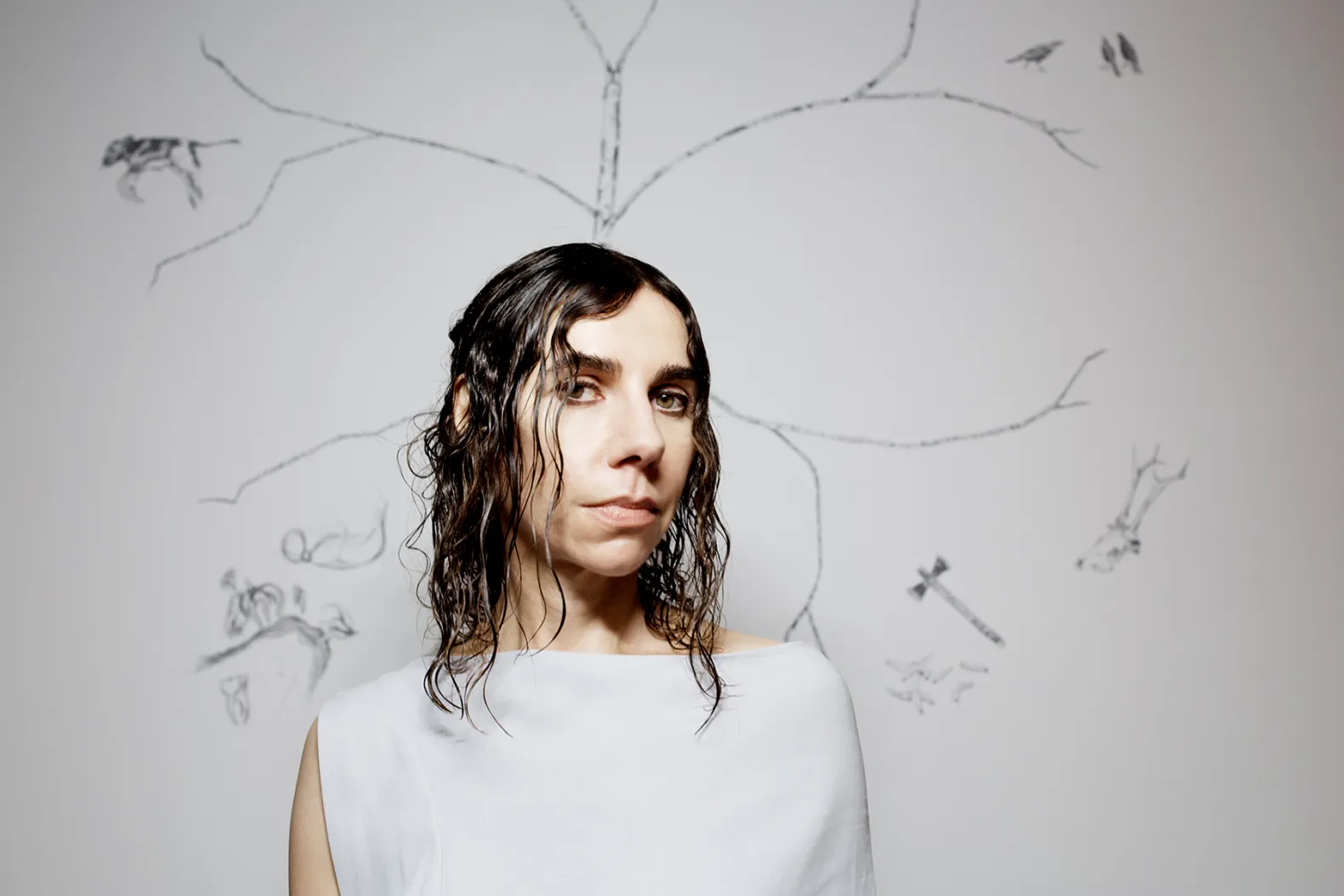 PJ Harvey Age, Discography, Tour Dates 2024, Instagram ABTC